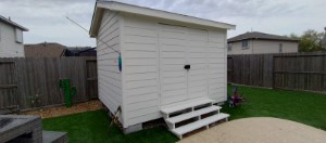 Hall Shed doors replacement