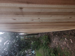 Smith back with trees